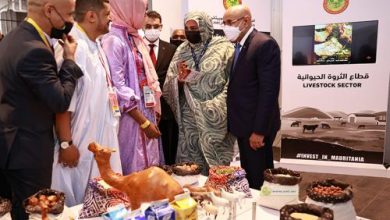 Photo de Le Président de la République visite le pavillon mauritanien de l’Expo 2020 de Dubaï