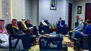 Photo de Le ministre des Affaires étrangères s’entretient avec le conseiller de cabinet royal du Royaume d’Arabie Saoudite