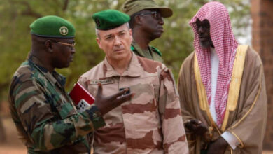 Photo de Coopération : le CEMA Thierry BURKHARD au Sénégal, en Mauritanie et au Niger